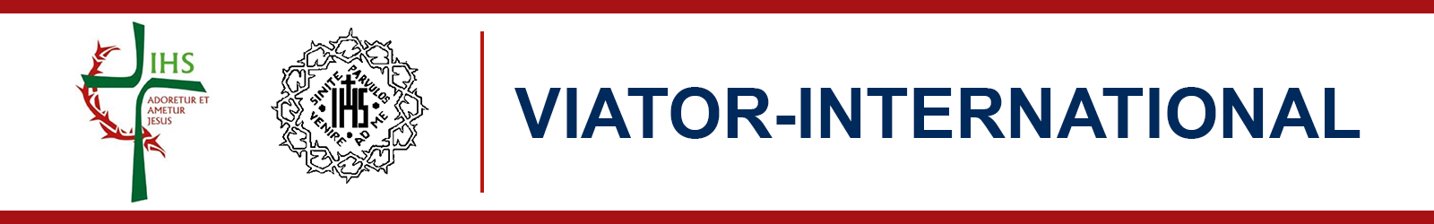 CSViator Logo